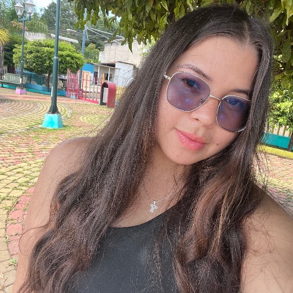 Perfil