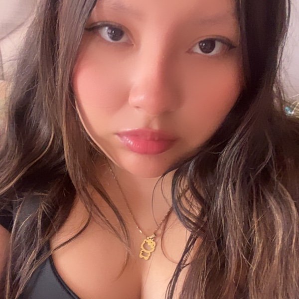 Perfil