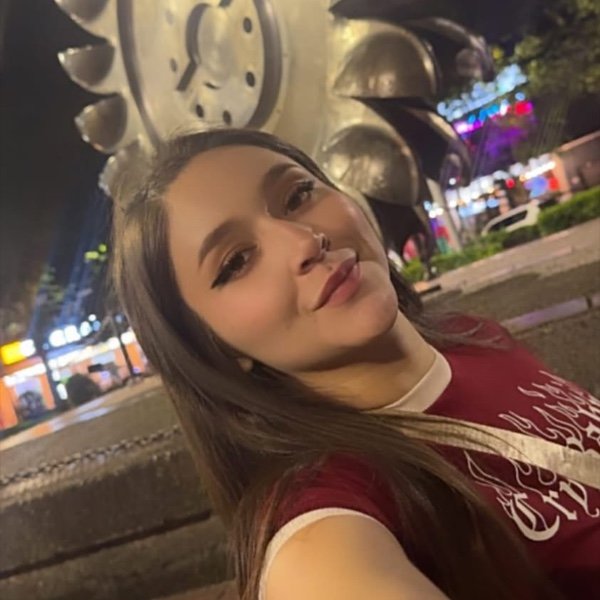 Perfil