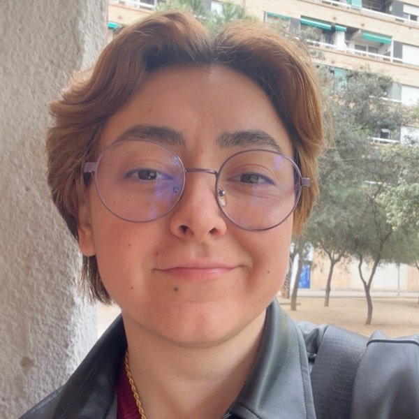 Perfil
