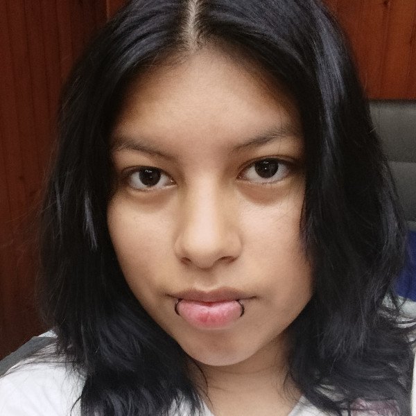 Perfil